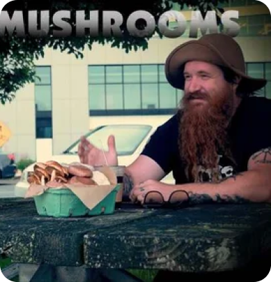 Maddie's Mushrooms And The The Olympic Peninsula..
