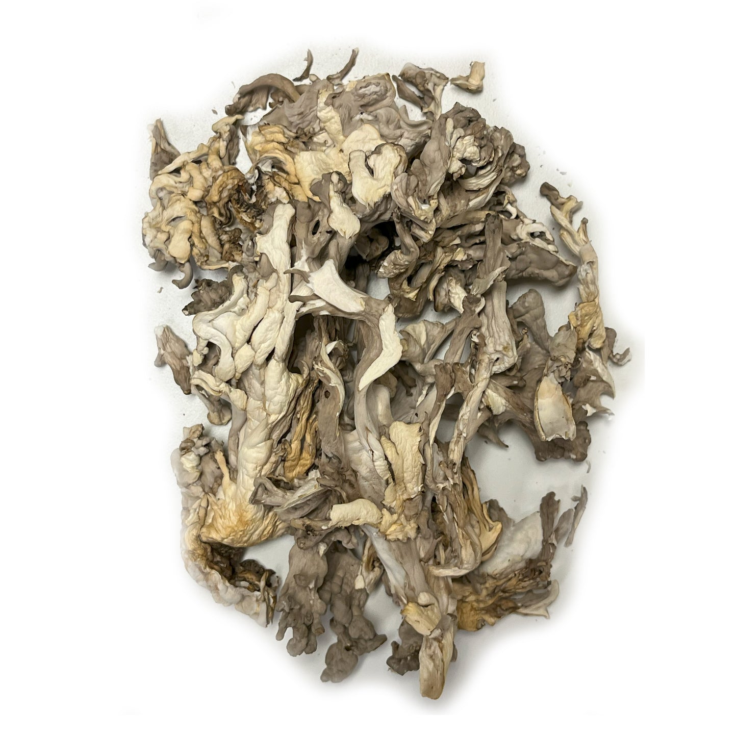 Dried Maitake