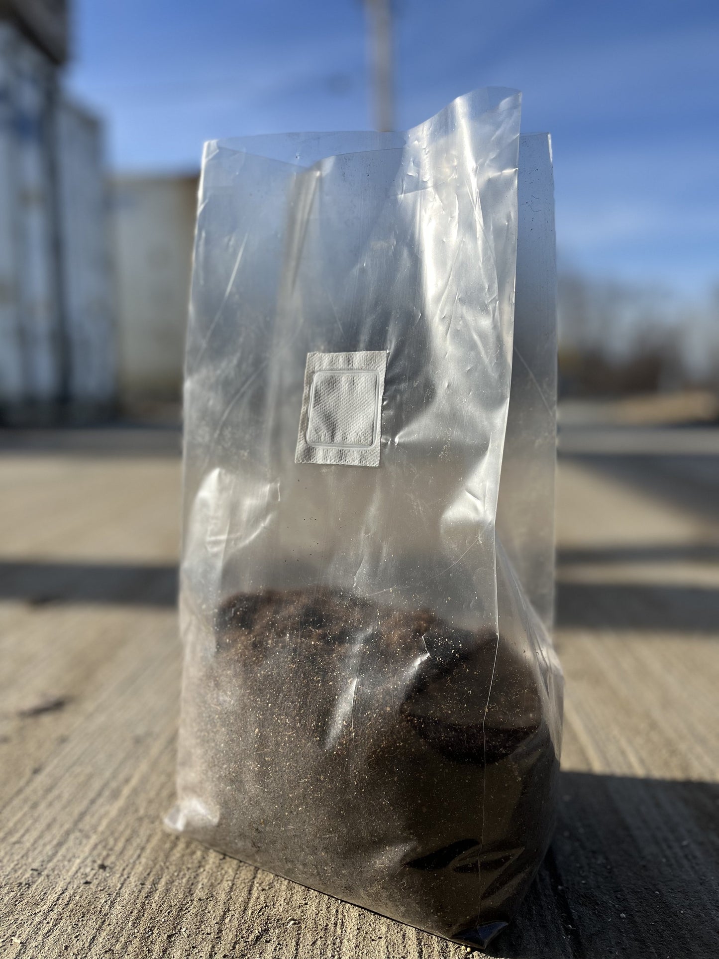 Coco Coir Bags
