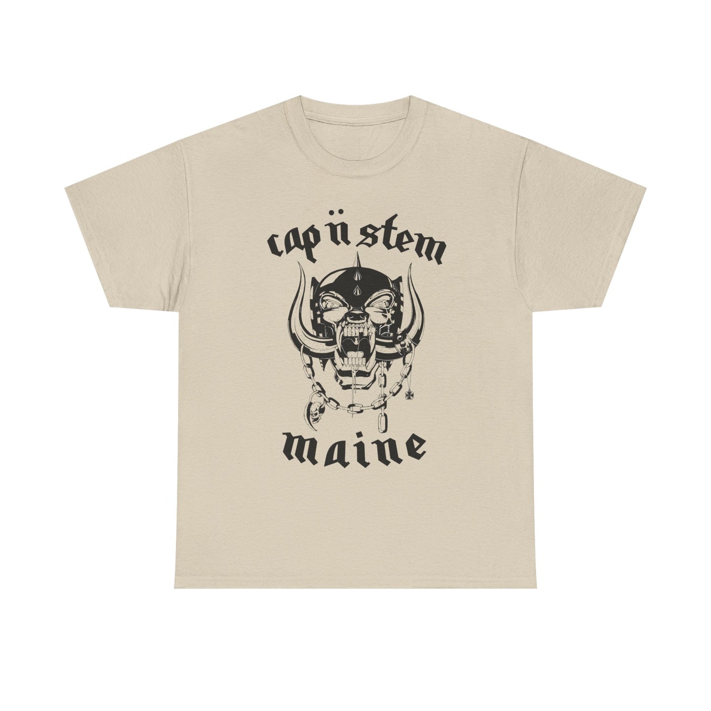 Lemmy Go