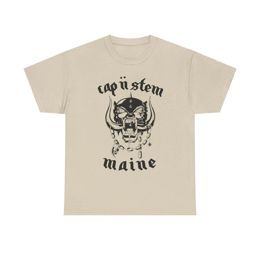 Lemmy Go