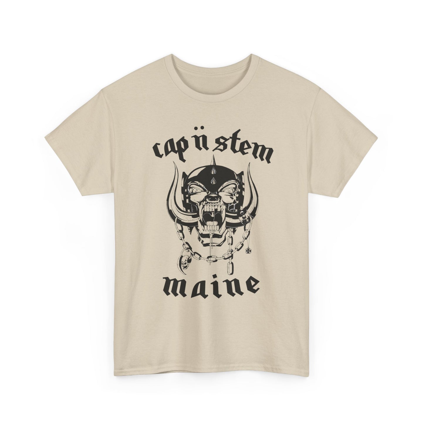 Lemmy Go