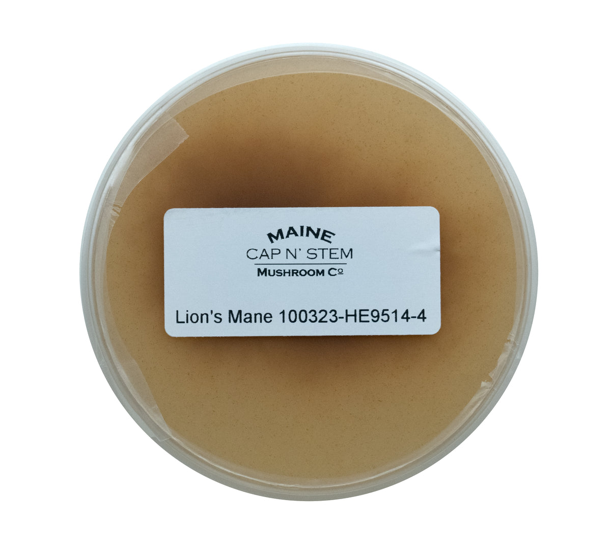 Lions Mane Culture – Cap N Stem