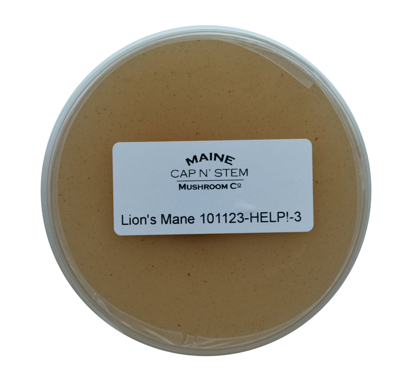 Lions Mane Culture